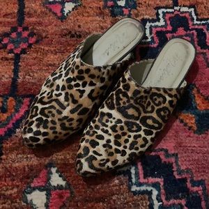 Matisse leopard haircalf mule